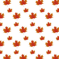 The pattern of maple leaves on white background. Modern maples in summer and autumn season leaves texture design