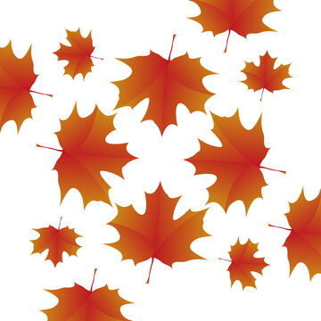 Texture of maple leaves on white background. Maple leaves vector design for wallpaper and pattern style of clothes and fashion