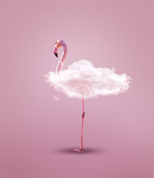 Pink flamingo with body made of cloud - concept image