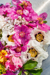 spring flowers with fresh leaves