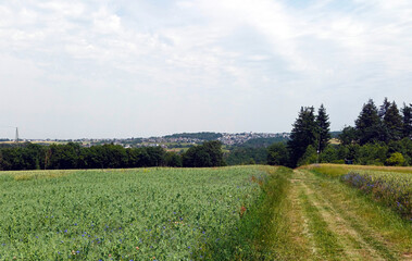 Aussicht vom Premium-Wanderweg Traumschleife Oberes Baybachtal, einer der Traumschleifen des...