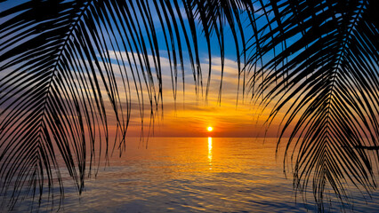 Silhouette of palm trees Beautiful sunset on the tropical sea beach