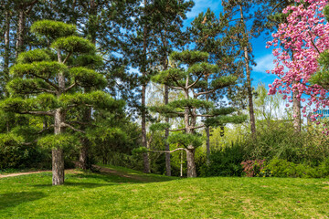  Idyllic landscape of Japanese garden. Traditional japanese stone garden for meditation