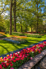 Plakat Blooming Garden of Europe, Keukenhof park. Netherlands