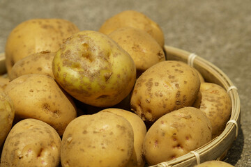 とれたての新ジャガ芋