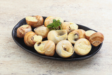 Delicous baked snail with butter - Escargot