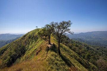 view from the top