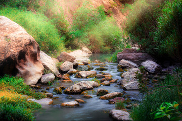 landscape photo for a long exposure mountain river in the forest  with sun lights in Bougaa sétif algeria