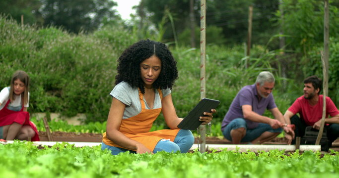 Group of people at urban community farm working at small organic business. One black woman holding tablet