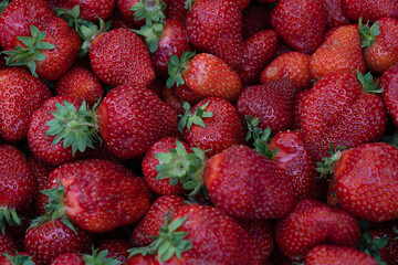 ripe strawberries red color background