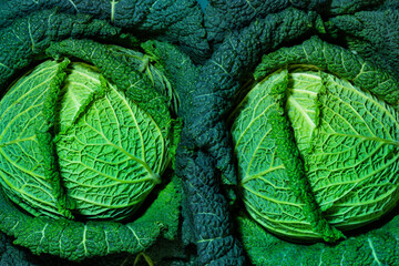 Two savoy cabbage heads close-up with details from above