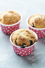 Muffins with Blueberries and Brown Sugar. Close up.