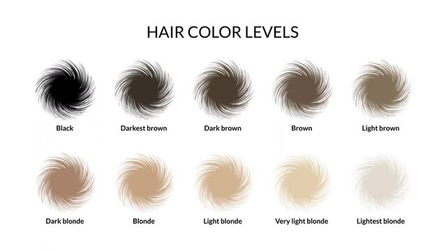 Hair color levels animation