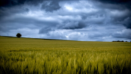 storm over the field