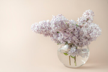 Lilac standing in a vase