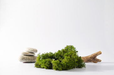 Background with natural objects - moss, stones, tree branches