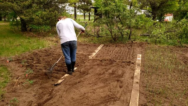 Man in jeans and boots with long hair using rakes to cover rows of planted seeds.