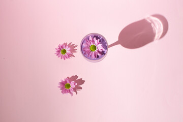 Pink flowers with wine glass shadow on pink background. Aesthetic. Sun and shadow.