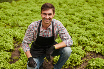 Cheerful male gardener in lettuce field