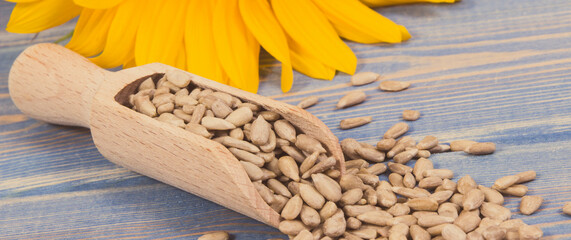 Sunflower seeds with wooden scoop and beautiful vibrant flower