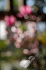 ボケ味を楽しむ抽象的なデザイン