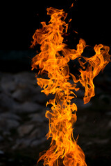 Flame of fire on black background. Fire close-up. Forest fires, burning trees. Firewood by the...