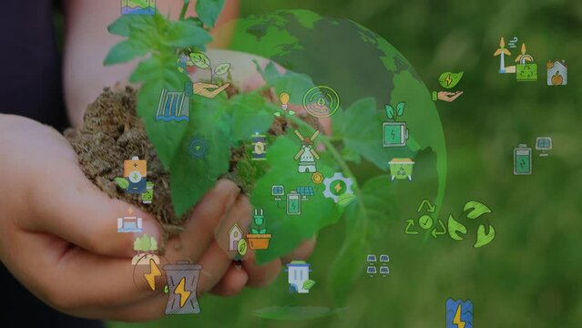 close up hands holding sapling of young oak tree. palms embrace the soil stem a small tree. blurred green background, black shirt. concept nature conservation, Earth protection, reforestation. High