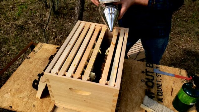 Removing bee hive screen full of bees and honeycombs to check queen and its family if there are any eggs.