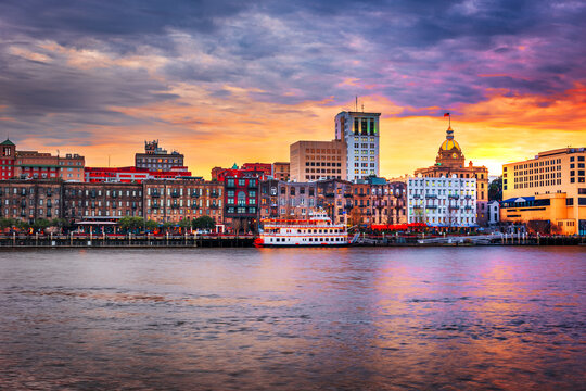 Savannah wise hi-res stock photography and images - Alamy