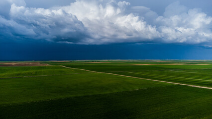 Alfombra verde en Castilla y Le&oacute;n