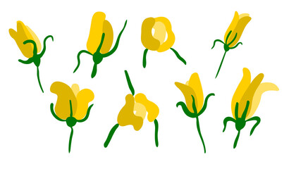 Stylish simple minimalist yellow rose flowers