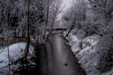 Fototapeta premium Cencellada en Valladolid 