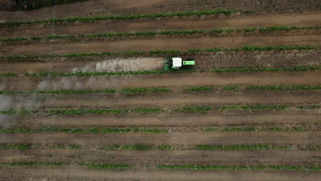 Tractor creates a dust cloud as its used to cultivate the vineyards 