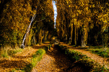 OTO&Ntilde;O en el canal 