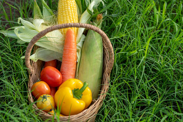The Pile of Vegetable in the Bamboo basket on green grass in orgranic farming,cabbage,carrots,radish,corn