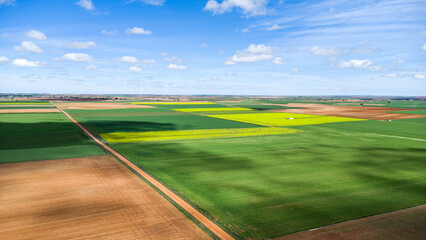 Obraz premium Campos de COLZA Y CEREAL