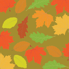  background with autumn leaves
