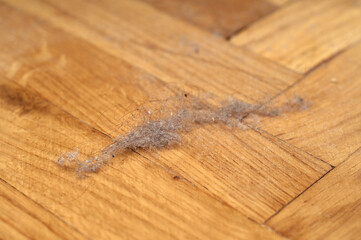 Dusty, unhygienic parquet-flooring in a room