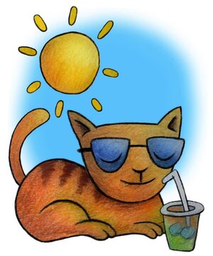 Nice cat enjoying the summer. Animation of a nice cat sunbathing with a soft drink.