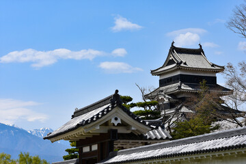 春の国宝松本城