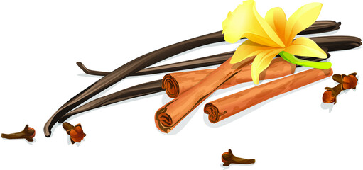 composition of spices - vanilla pods , cinnamon pod and clove grains