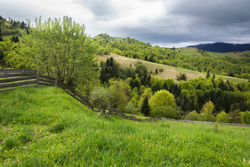 rural landscape on a cloudy springtime day. beautiful countryside nature scenery of carpathian mountains in the morning. tree near the fence on the grassy hill