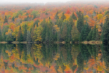 Foggy autumn landscape of the shoreline of Alberta Lake with mirrored reflections in calm water, Ottawa National Forest, Michigan’s Upper Peninsula, USA
