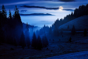 mountain landscape on a foggy night. coniferous trees on the grassy meadow in the valley in full moon light