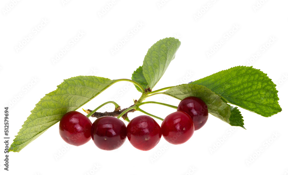 Sticker cherry isolated