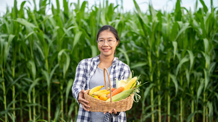 Beautiful young brunette Portrait Famer Woman hand holding Vegetables in the bamboo basket on green Farming Plant at sunset background ,Organic fresh harvested vegetables; 