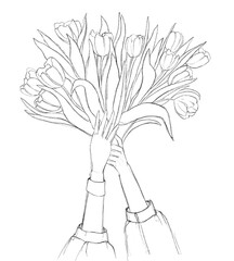 bouquet of flowers. Sketches of illustrations with tulips for postcards. Realistic hand-drawn illustrations. Idea for postcards, posters, logos, avatars, icons.