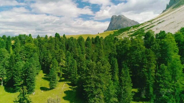 Idyllic lush green alpine forest trees aerial flyover view South Tyrol Plose Peitlerkofel bottom of mountain slope