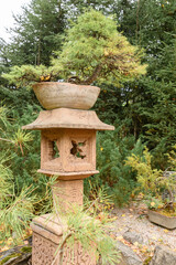 Fototapeta na wymiar Traditional asiatic stone lantern on background of green garden