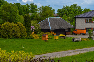 rustic streets in latvia in summer8